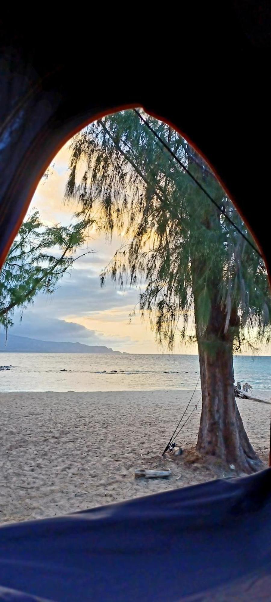 Campcar Maui Jeeps Suvs Hybrid Camper Van Rentals With Equipment And Travel Advice Καχουλούι Εξωτερικό φωτογραφία